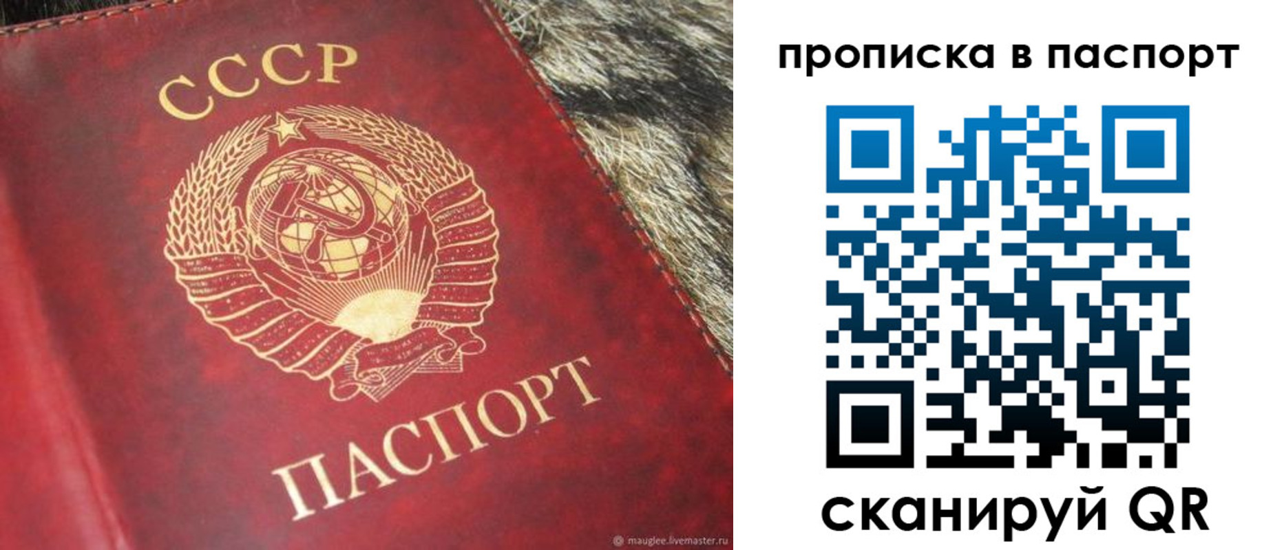 временная регистрация для всех в Новочебоксарске